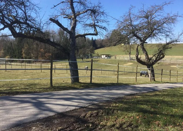 Hof Pferdeglueck
